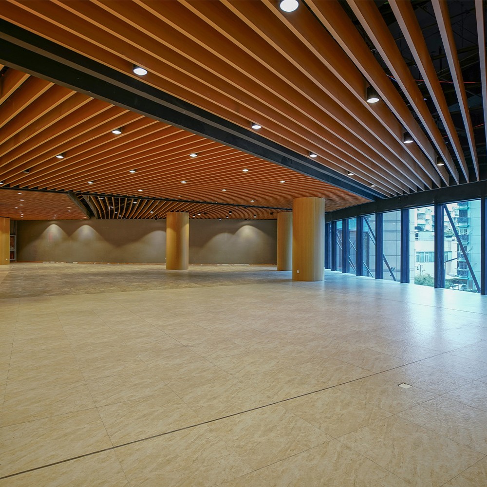 Acoustic Baffles Ceiling2