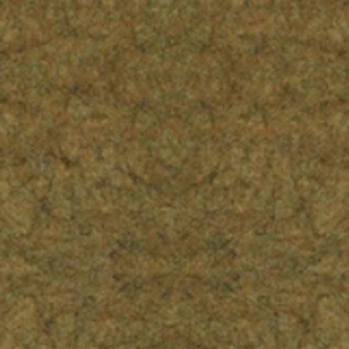 EchoPET colour 1915