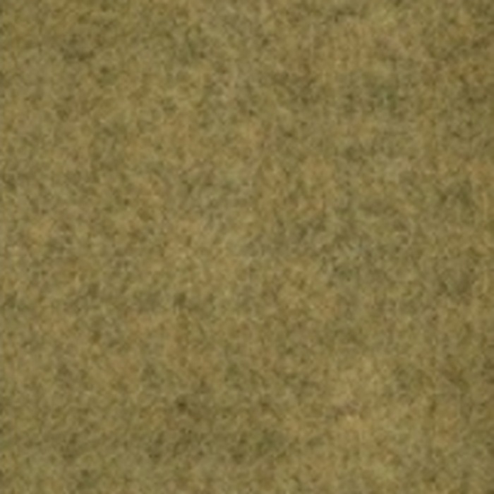 EchoPET colour 1916