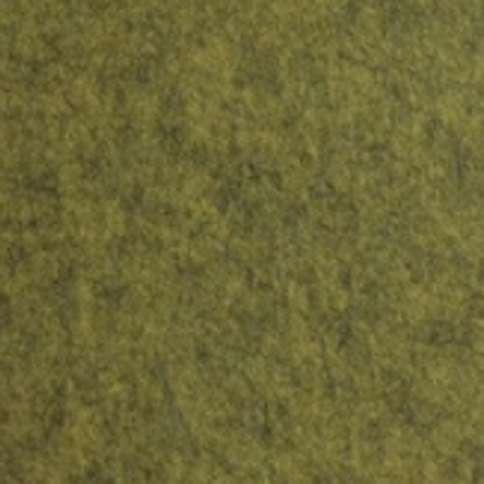 EchoPET colour 1917