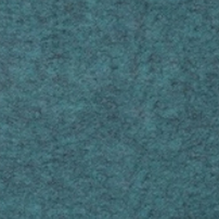 EchoPET colour 1921