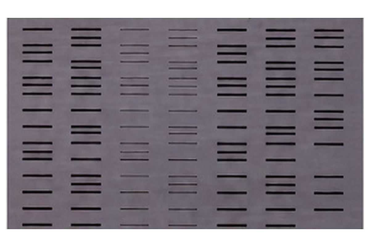 LB-A21 decorative wooden panel