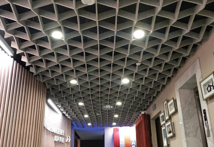 Special design ceiling DD-CP-38