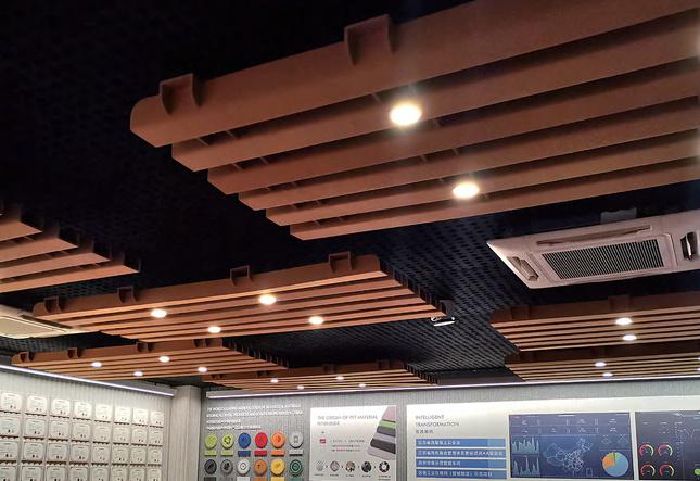 Special design ceiling DD-GS-36