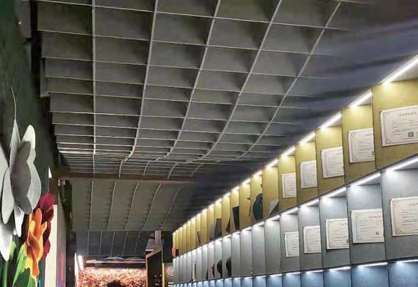 Special design ceiling DD-CP-30