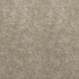 EchoPET colour 2410